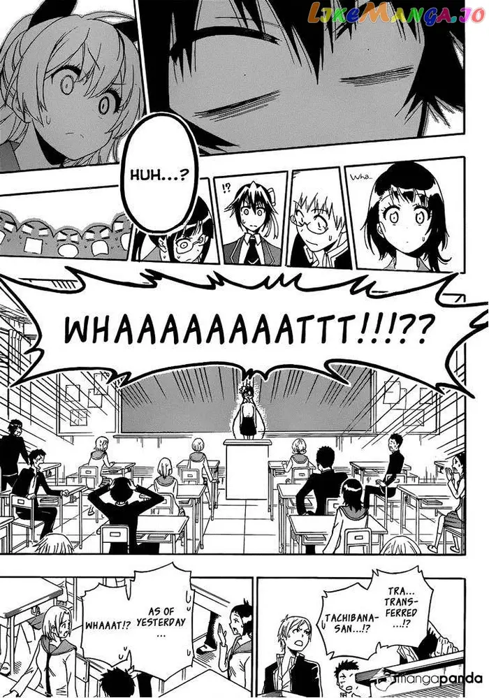 Nisekoi Chapter 181 image 12_optimized